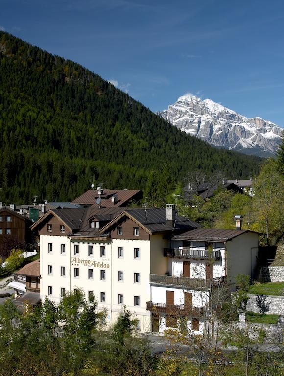Antelao Hotel San Vito di Cadore